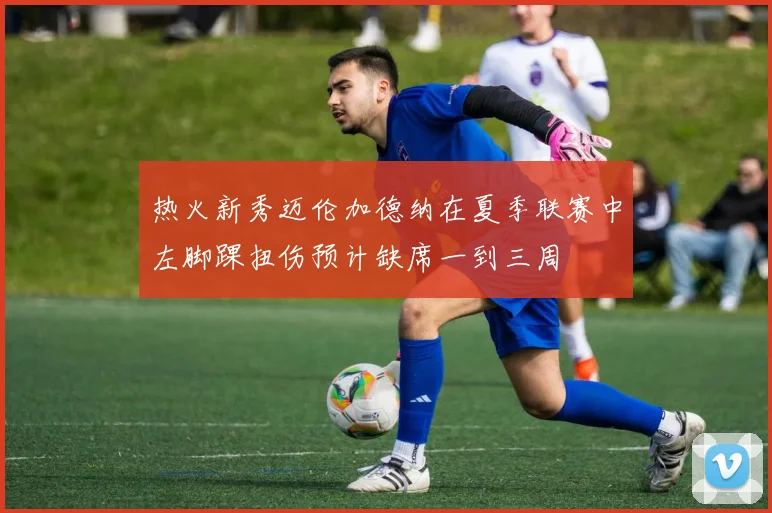 热火新秀迈伦加德纳在夏季联赛中左脚踝扭伤预计缺席一到三周